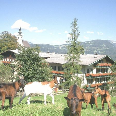 Torrenerhof Hotel Golling an der Salzach Kültér fotó