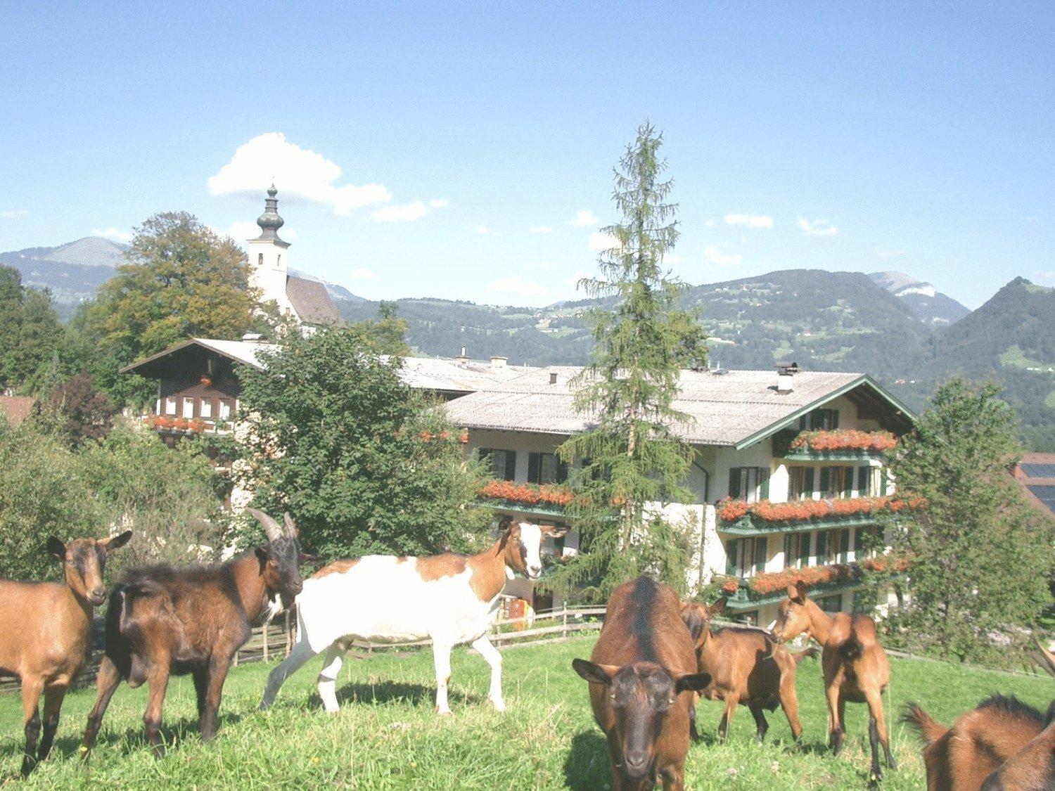Torrenerhof Hotel Golling an der Salzach Kültér fotó